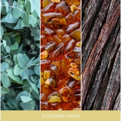 Yankee Candle Glistening Leaves Signature Duża Świeca 567g